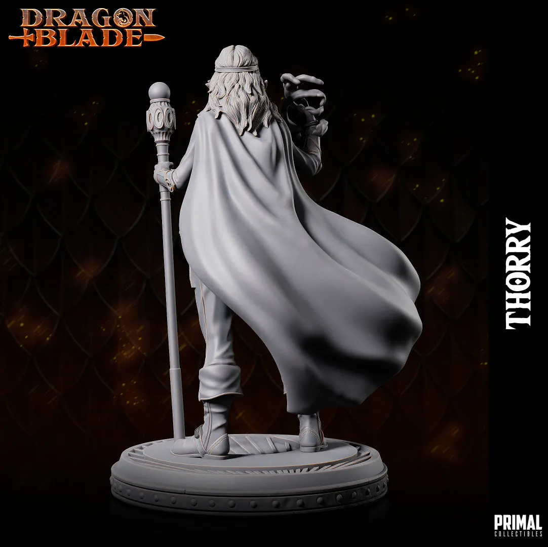 DNDHQ - Thorry - Spellswarm Wizard Human Lady