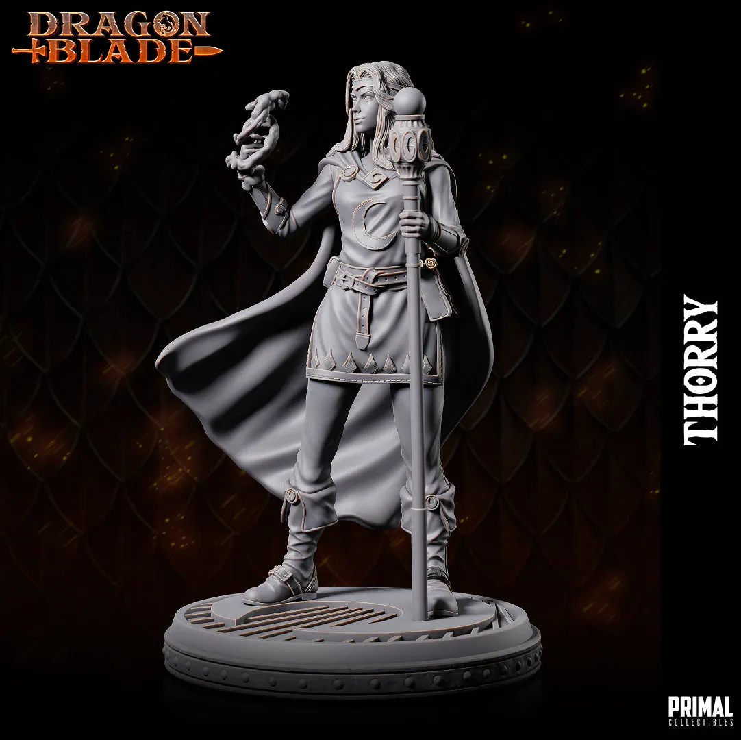 DNDHQ - Thorry - Spellswarm Wizard Human Lady