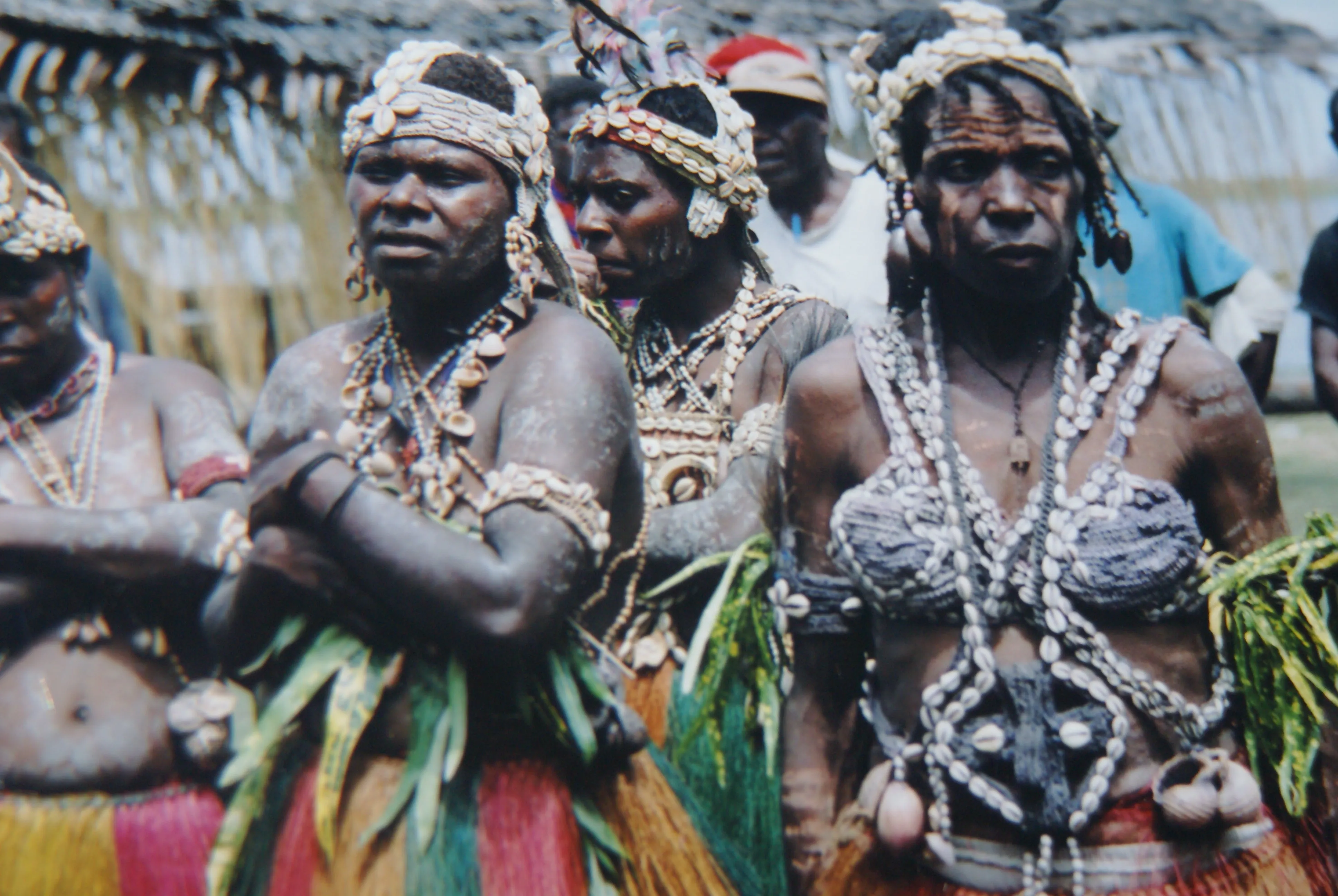 Unique “Big Man” Chief Tribal Boar Tusks & Ancestors’s Status Trophy,  Important Pectoral Ornament Worn during Initiations, also used as Currency, Bride Price, Feud Payments , collected in the late 1900’s in the Highlands Of Papua New Guinea