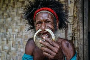 Unique “Big Man” Chief Tribal Boar Tusks & Ancestors’s Status Trophy,  Important Pectoral Ornament Worn during Initiations, also used as Currency, Bride Price, Feud Payments , collected in the late 1900’s in the Highlands Of Papua New Guinea