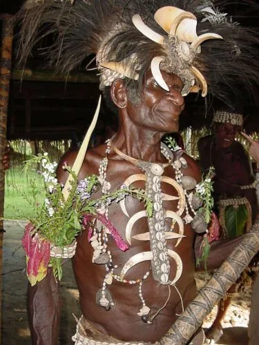 Unique “Big Man” Chief Tribal Boar Tusks & Ancestors’s Status Trophy,  Important Pectoral Ornament Worn during Initiations, also used as Currency, Bride Price, Feud Payments , collected in the late 1900’s in the Highlands Of Papua New Guinea
