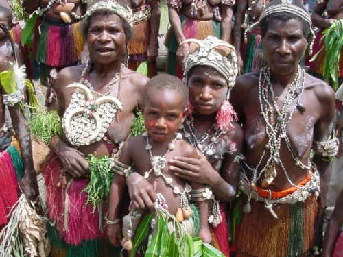 Unique “Big Man” Chief Tribal Boar Tusks & Ancestors’s Status Trophy,  Important Pectoral Ornament Worn during Initiations, also used as Currency, Bride Price, Feud Payments , collected in the late 1900’s in the Highlands Of Papua New Guinea