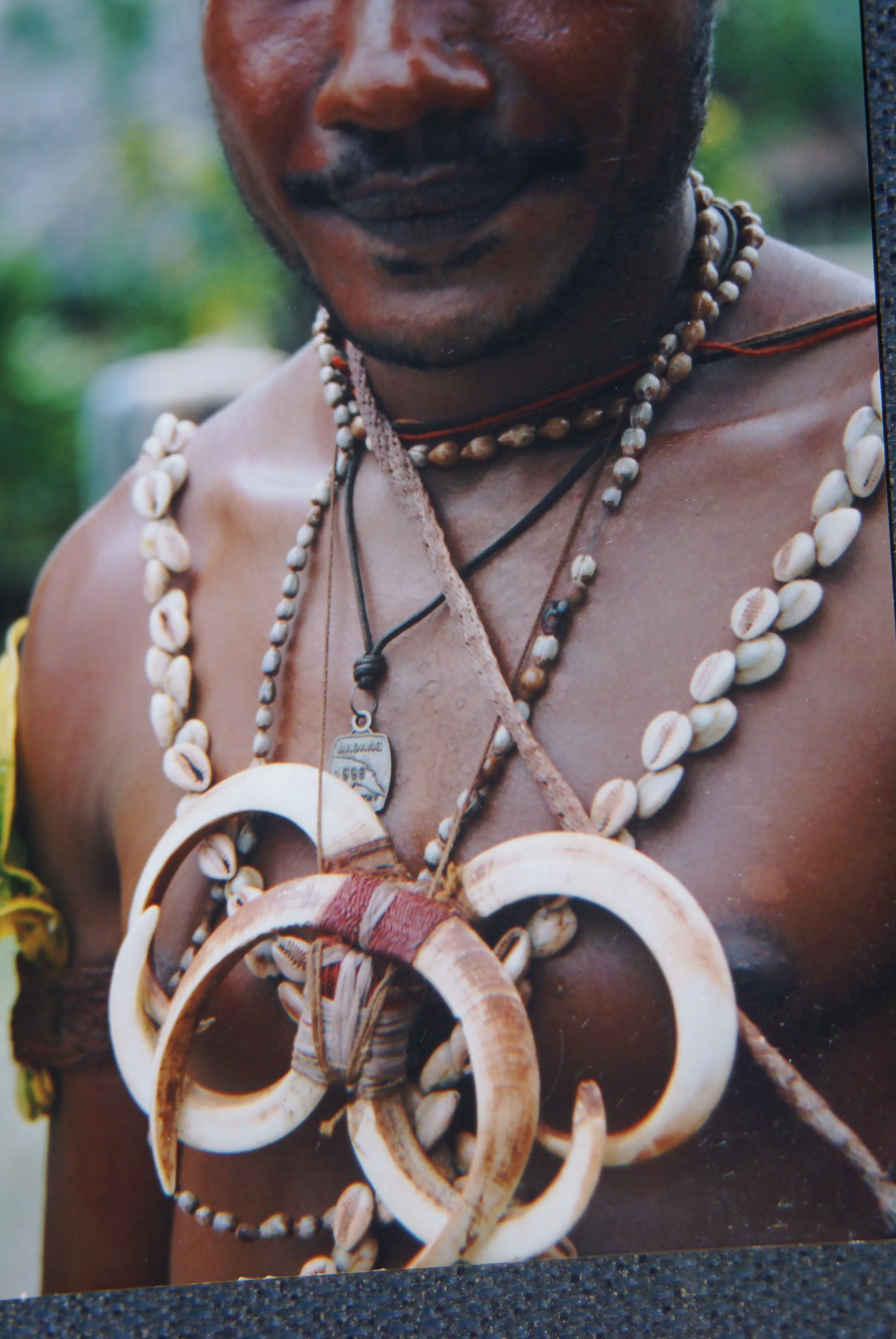 Unique “Big Man” Chief Tribal Boar Tusks & Ancestors’s Status Trophy,  Important Pectoral Ornament Worn during Initiations, also used as Currency, Bride Price, Feud Payments , collected in the late 1900’s in the Highlands Of Papua New Guinea