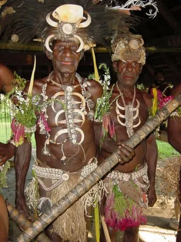 Unique “Big Man” Chief Tribal Boar Tusks & Ancestors’s Status Trophy,  Important Pectoral Ornament Worn during Initiations, also used as Currency, Bride Price, Feud Payments , collected in the late 1900’s in the Highlands Of Papua New Guinea