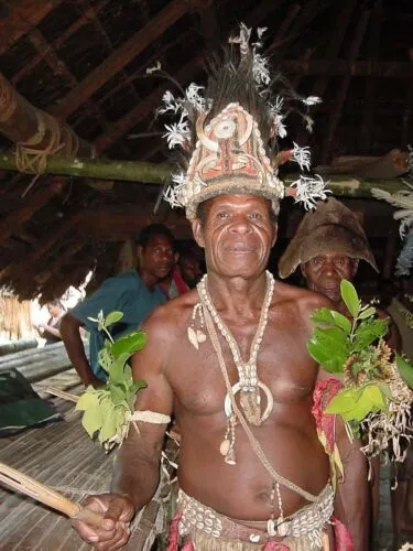 Unique “Big Man” Chief Tribal Boar Tusks & Ancestors’s Status Trophy,  Important Pectoral Ornament Worn during Initiations, also used as Currency, Bride Price, Feud Payments , collected in the late 1900’s in the Highlands Of Papua New Guinea